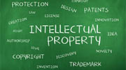 Indonesia intellectual property rights investigator